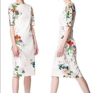 |Zara| Oriental Floral Dress